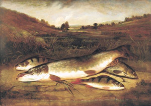 Pike and Perch - HL Rolfe